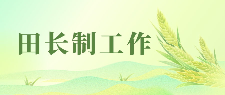 廣西田長制工作將實行“紅黑榜”通報機制