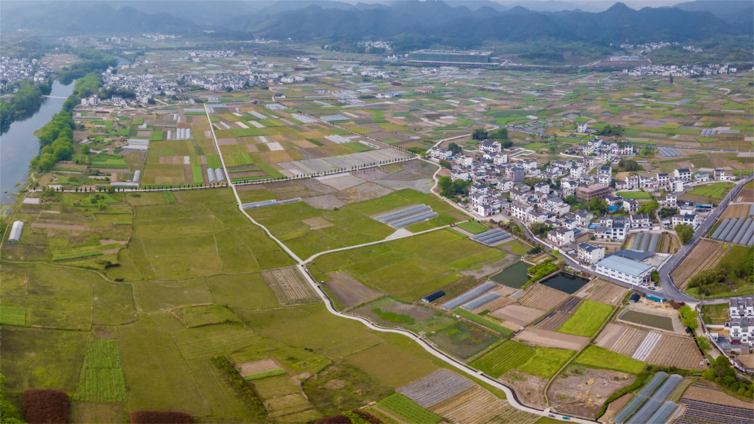 我國耕地保護(hù)考核和糧食安全考核將“合二為一”